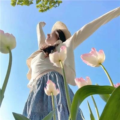 今天又在撩系统