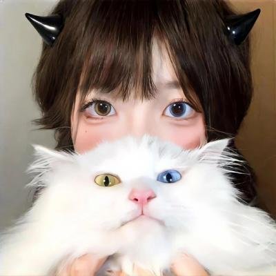 你好七叶第二季